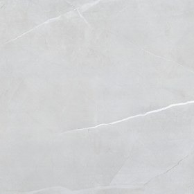 تصویر سرامیک 120 در 120 لوتوس طرح lotus