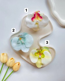 تصویر کلیپس ارکیده 