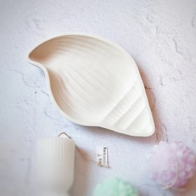 تصویر استند صدف حلزونی 