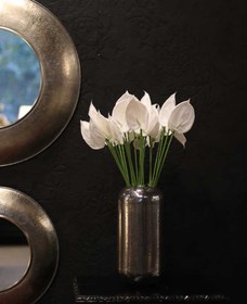 تصویر گل آنتریوم 