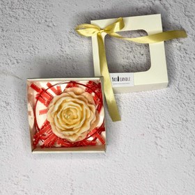 تصویر آلاله - مقوا و طلق 