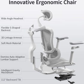 تصویر صندلی ارگونومیک SIHOO مدل Doro C300L 