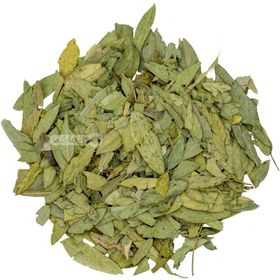 تصویر برگ سنا مکی وارداتی 