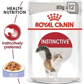 تصویر ژله ۸۵ گرمی ۱۲ تایی اینستینکتیو برند royal canin 