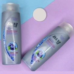 تصویر شامپو ضد زردی دنی وان (حجم 220 میلی لیتر) Dani One Anti Yellow Shampoo (Silver) 