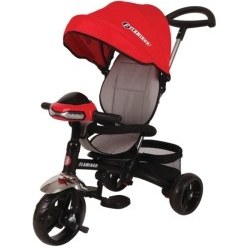 تصویر سه چرخه فلامینگو مدل T200 