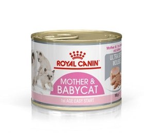 تصویر کنسرو گربه رویال کنین مادر اند بیبی بچه گربه کیتن و مادر 195 گرم Royal Canin Mother & Babycat Can 195g