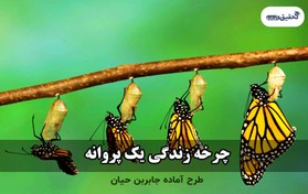 تصویر دانلود طرح جابر چهارم ابتدایی چرخه زندگی پروانه 