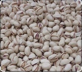 تصویر پسته کله قوچی 