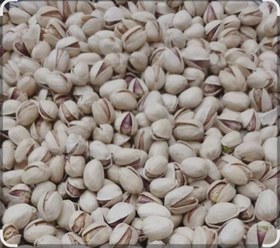 تصویر پسته کله قوچی 