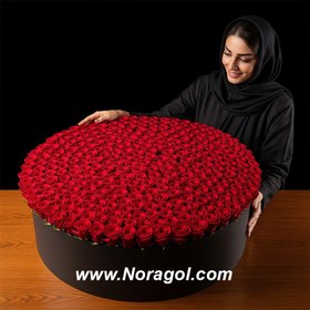 تصویر باکس گل دنیا 