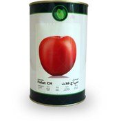 تصویر بذر گوجه فرنگی سی اچ فلات ۵۰۰ گرمی 