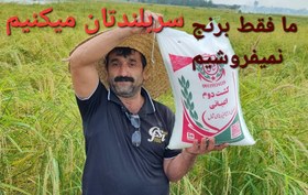 تصویر برنج کشت دوم طارم هاشمی عطری وزن خالص ۸۰ کیلوگرم + ارسال رایگان تا درب منزل 