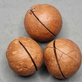 تصویر ماکادمیا سایز معمولی ( طعم دار شده با وانیل ) - دو کیلویی 