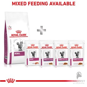 تصویر غذای خشک گربه بالغ رنال اسپشیال رویال کنین ا Royal Canin Renal Special Adult Dry Cat Food Royal Canin Renal Special Adult Dry Cat Food