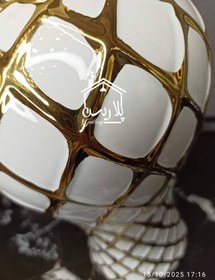 تصویر جینجرجار مراکشی 18133 