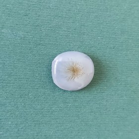 تصویر سنگ شجر کد 40031 