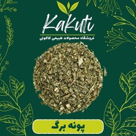 تصویر پونه برگ معطر درجه یک (100 گرمی) فروشگاه کاکوتی 