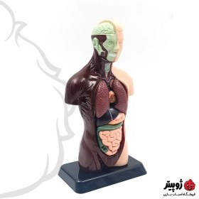 تصویر مولاژ نیم تنه 8 تکه 