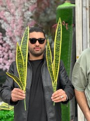 تصویر گل مصنوعی بوته سانسوریا سه برگ 65سانتی 