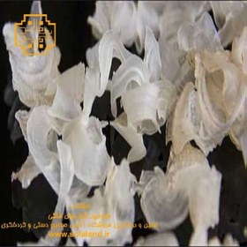 تصویر کتیرا 