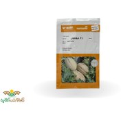 تصویر بذر خربزه جانا 1000 عددی F1 Jana melon seeds 1000 pcs F1