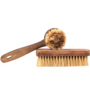 تصویر فرچه چوبی 