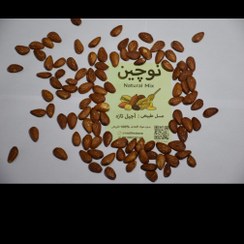 تصویر بادام درختی آذرخام 