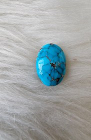 تصویر نگین فیروزه شجر 