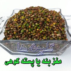 تصویر مغز بنه یا مغز پسته کوهی درجه یک 