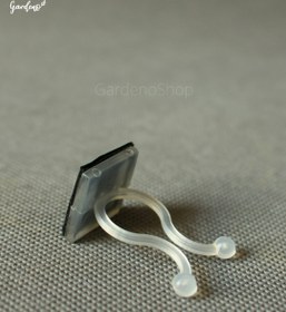 تصویر گیره گیاه پتوس 