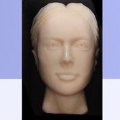 تصویر مولاژ تخصصی صورت با ابعاد بزرگ تر از استاندارد (جهت تمرین و تدریس استاد) 