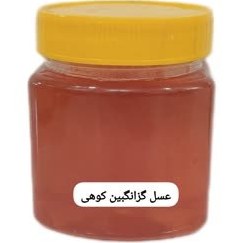 تصویر عسل درمانی گزانگبین کوهی ( نیم کیلویی) 