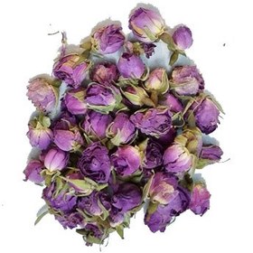 تصویر غنچه گل سرخ 