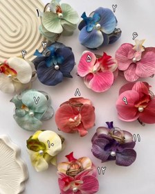 تصویر کلیپس ارکیده - 5 