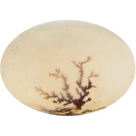 تصویر سنگ شجر کد 3046 