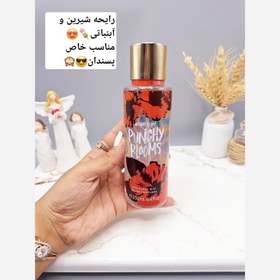 تصویر بادی اسپلش 250 ml شاین دار مدل PUNCHY BLOGM 