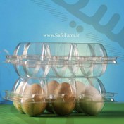 تصویر ظرف تخم کبک 6 عددی 