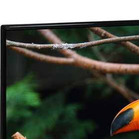 تصویر تلویزیون ال ای دی جی پلاس مدل GTV-58RU736N سایز 58 اینچ GPlus GTV-58RU736N LED TV 58 Inch