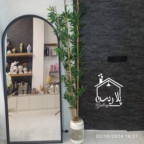 تصویر شاخه ی بامبو 16150 