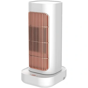 تصویر فروشگاه امیر استور جانبی