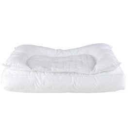 تصویر بالش Rashin راشین 