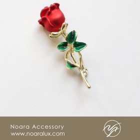 تصویر گل سینه گلسرخ 