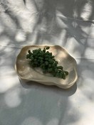 تصویر دیس سرامیکی دستساز دفرمه 