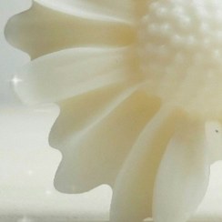 تصویر صابون شیر 