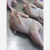 تصویر کبک خوش خوراک پاک کرده اماده طبخ حدودا 300 گرم ارسال با باکس یخ کمتر از 4 کبک ارسال نداریم 