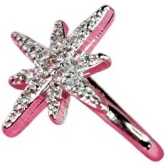 تصویر پیرسینگ بینی کد PN1 