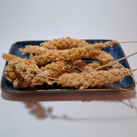 تصویر ارزن خوشه ای 