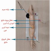 تصویر مانکن دست تزریقات وریدی IV | تزریق وریدی moulage for IV injections