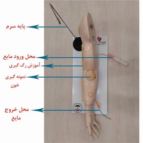 تصویر مانکن دست تزریقات وریدی IV | تزریق وریدی moulage for IV injections